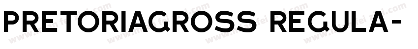 PretoriaGross Regula字体转换